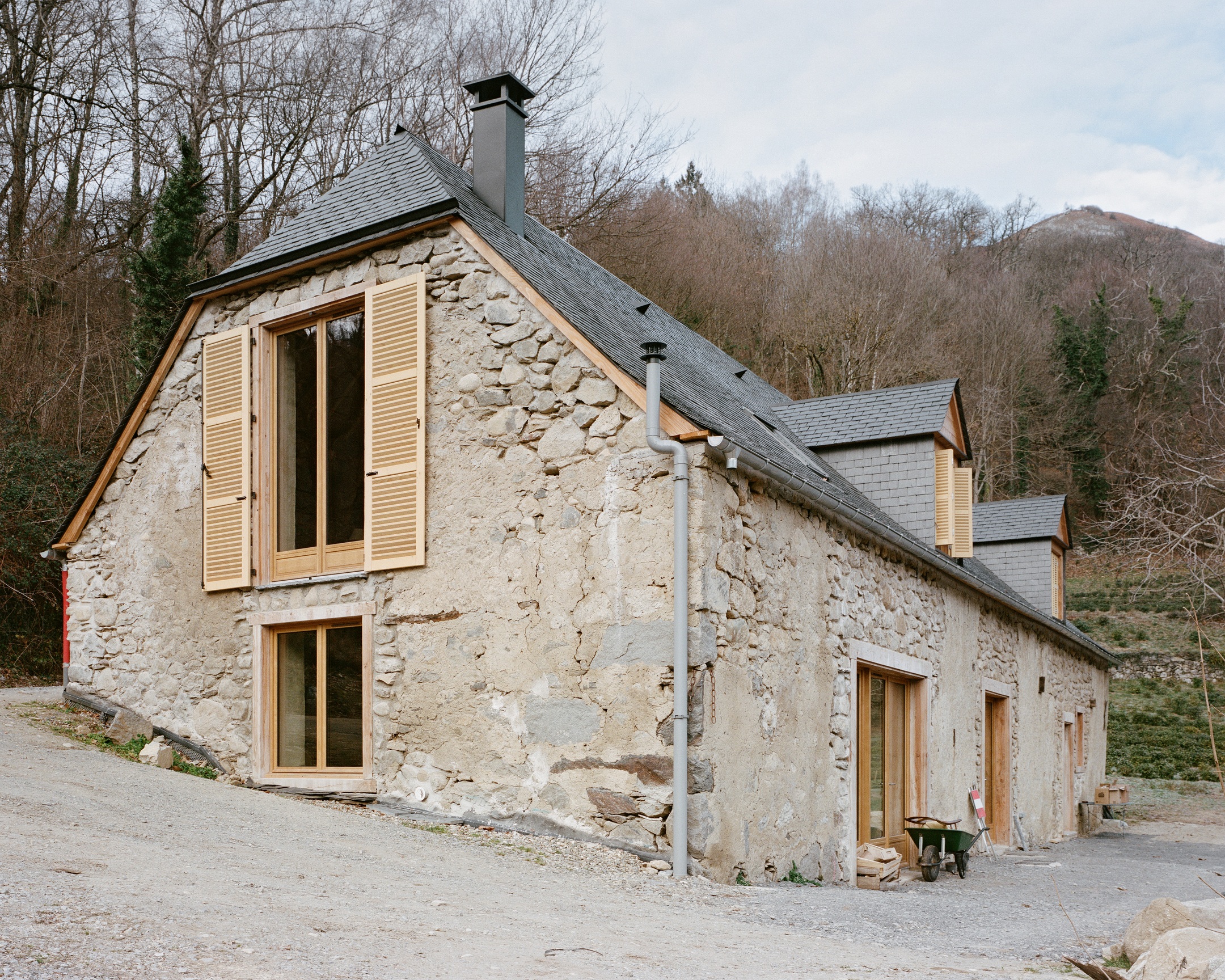 Ferme à thé